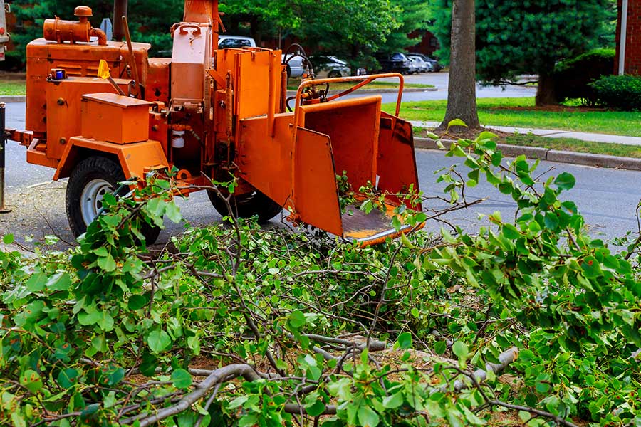 wood chipper and tree branches windsor co
